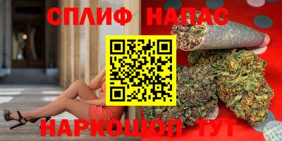 прущие грибы Камышлов