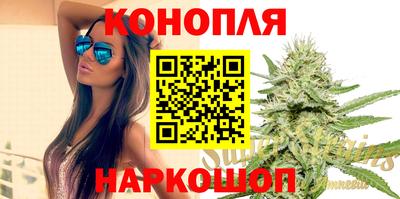 прущие грибы Камышлов